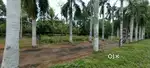 10 CENT LAND FOR SALE AT ANGAMALY NEAR APOLLO HOSPITAL