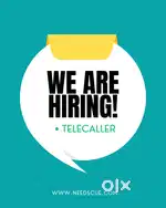 REALESTATE female telicaller