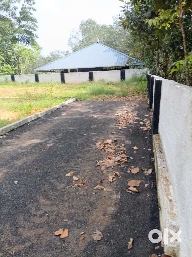 മനോഹരമായ ഫ്ലോട്ട്