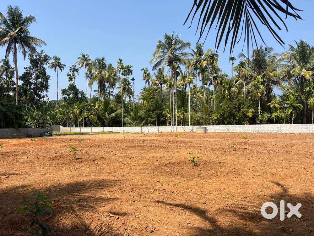 Purayidum…….good Plote