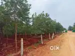 Sai properties & projects Ltd