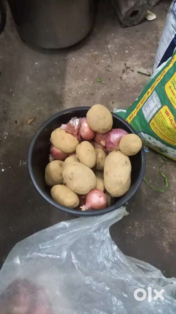 Cooking Master for Raja's Food