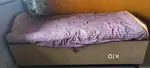 Sagwan Bed