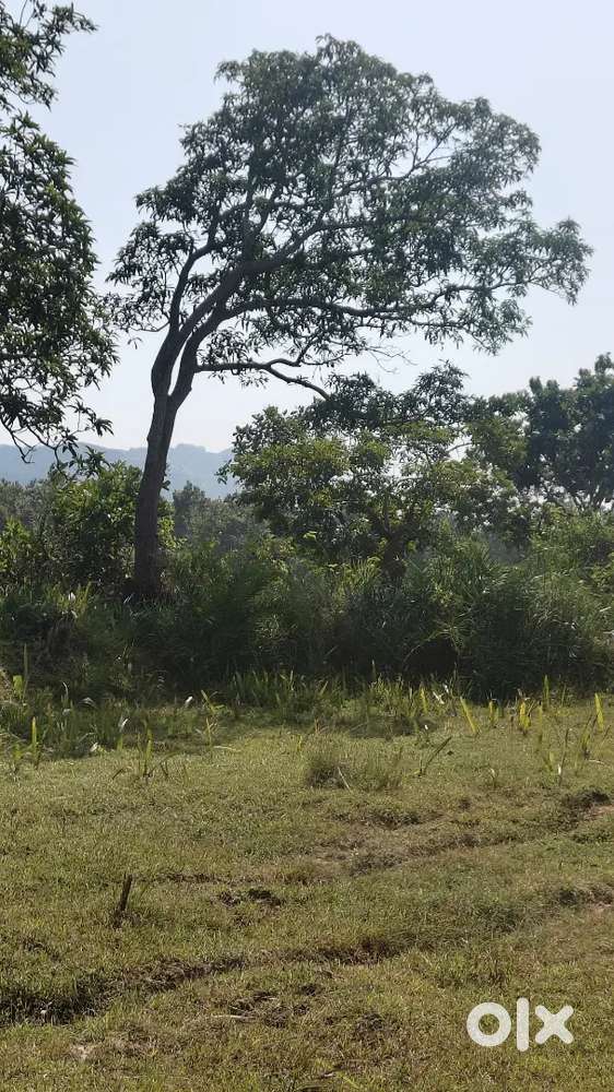 Best land plot for business purpose and others long term vision