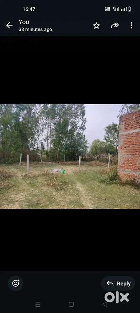 चित्तरपुर्वा,  Sandi चुंगी ring रोड के पास,मार्केट से लगा हुआ