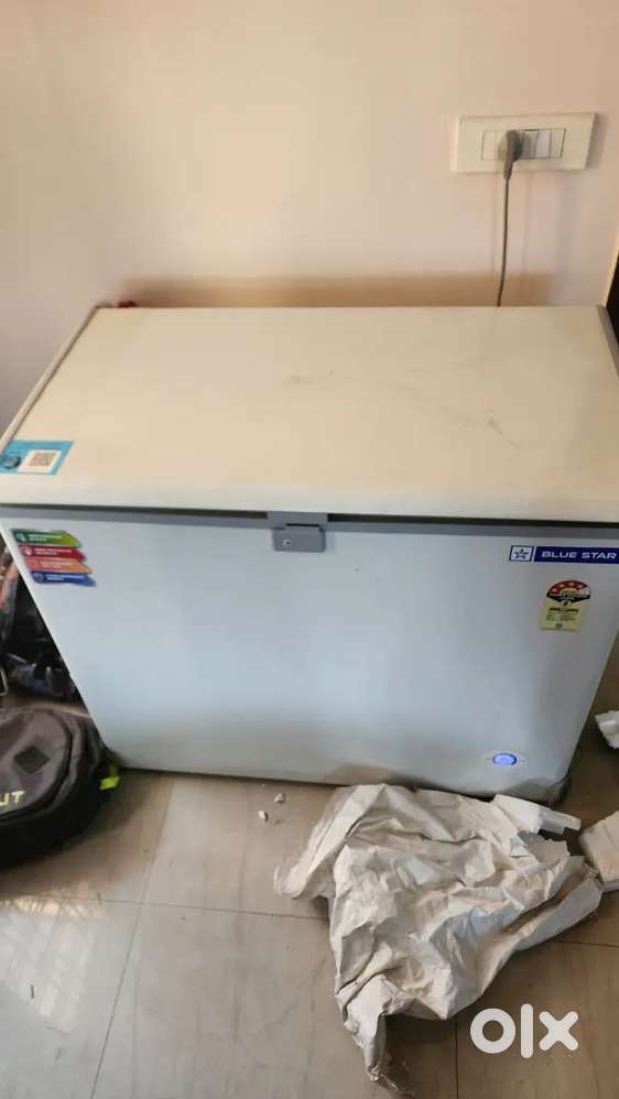 Bluestar Deep Freezer 200 litres