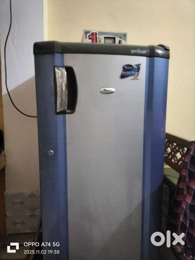 Refrigerator (fridge)