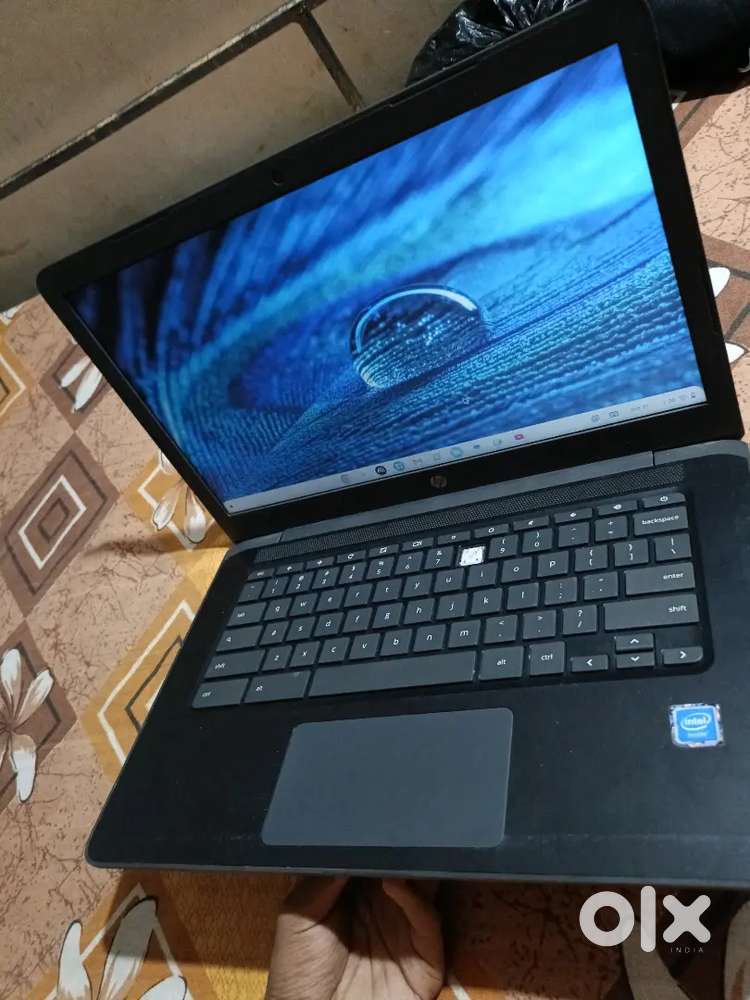 HP chrome book