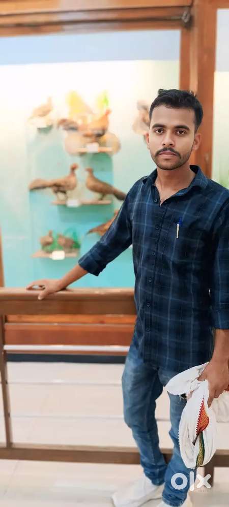 मनी प्रॉब्लम