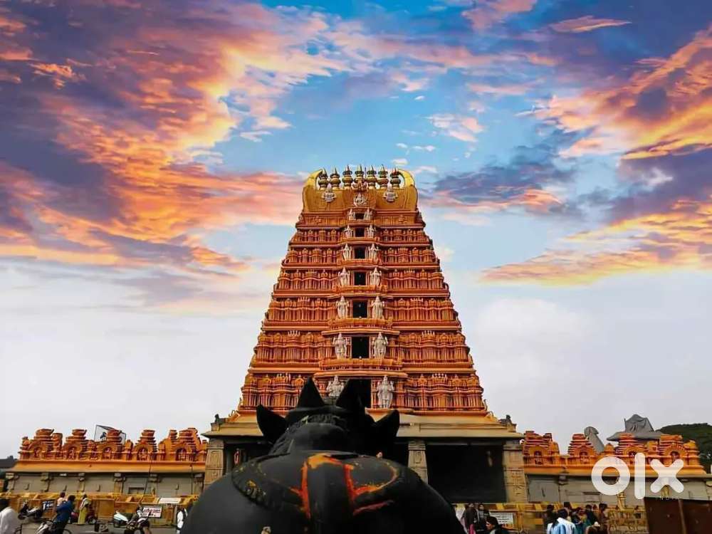 Individual hous for rent only family 4000 rent 25000 advance