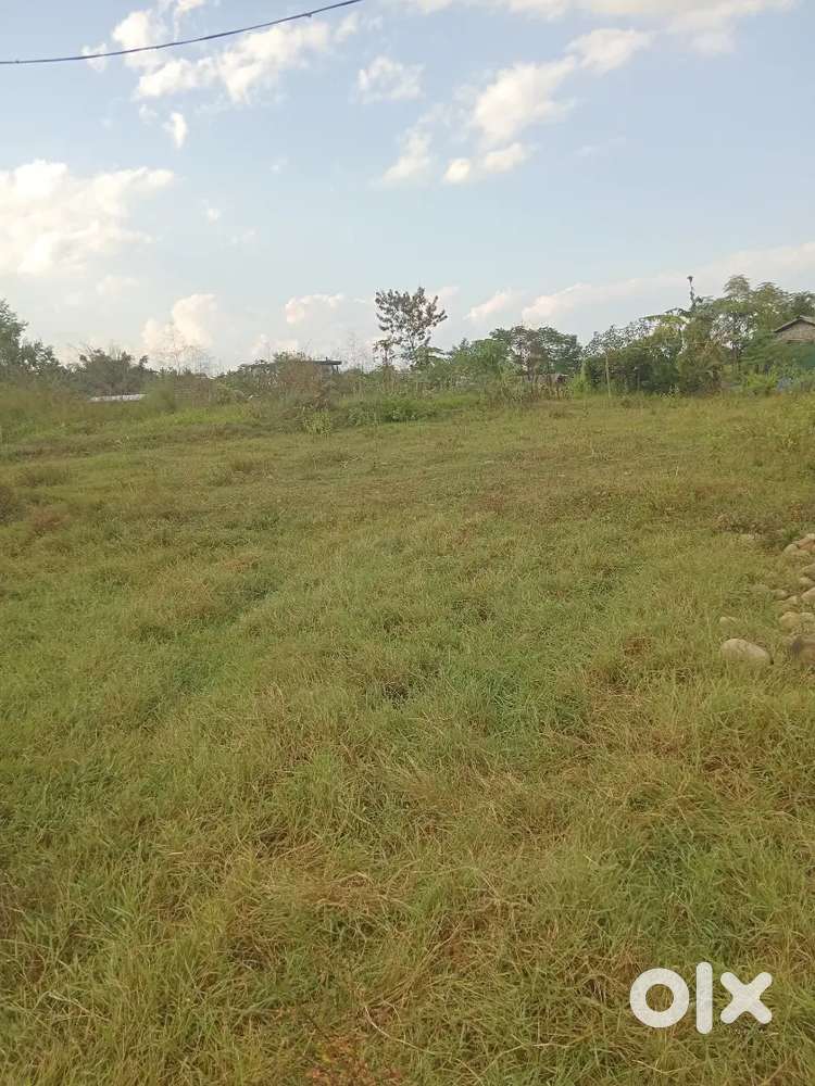 Land for sale at Nihoto village Bordering Naga united village
