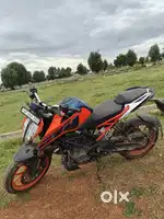 1 year old