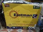Inverter battery