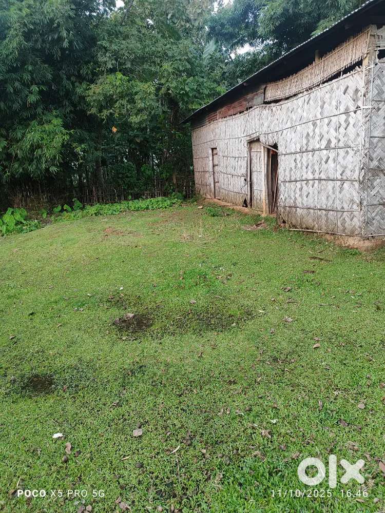 3.5 bigha agriculture land sale