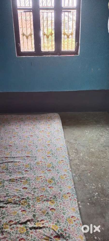 Room rent for boy's or girl