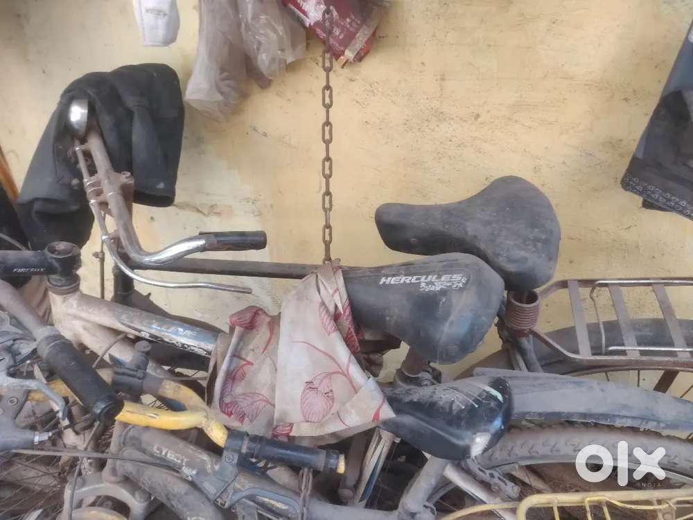 Hero ghoda heavy duty cycle for idli dosa and chay