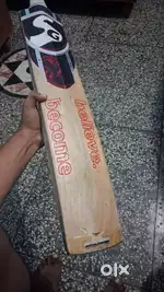 Brand New bat SG full size with 12 grains