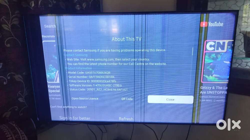 Samsung Tv display broken