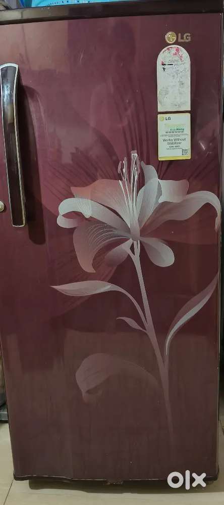 Lg Fridge 175 Litre