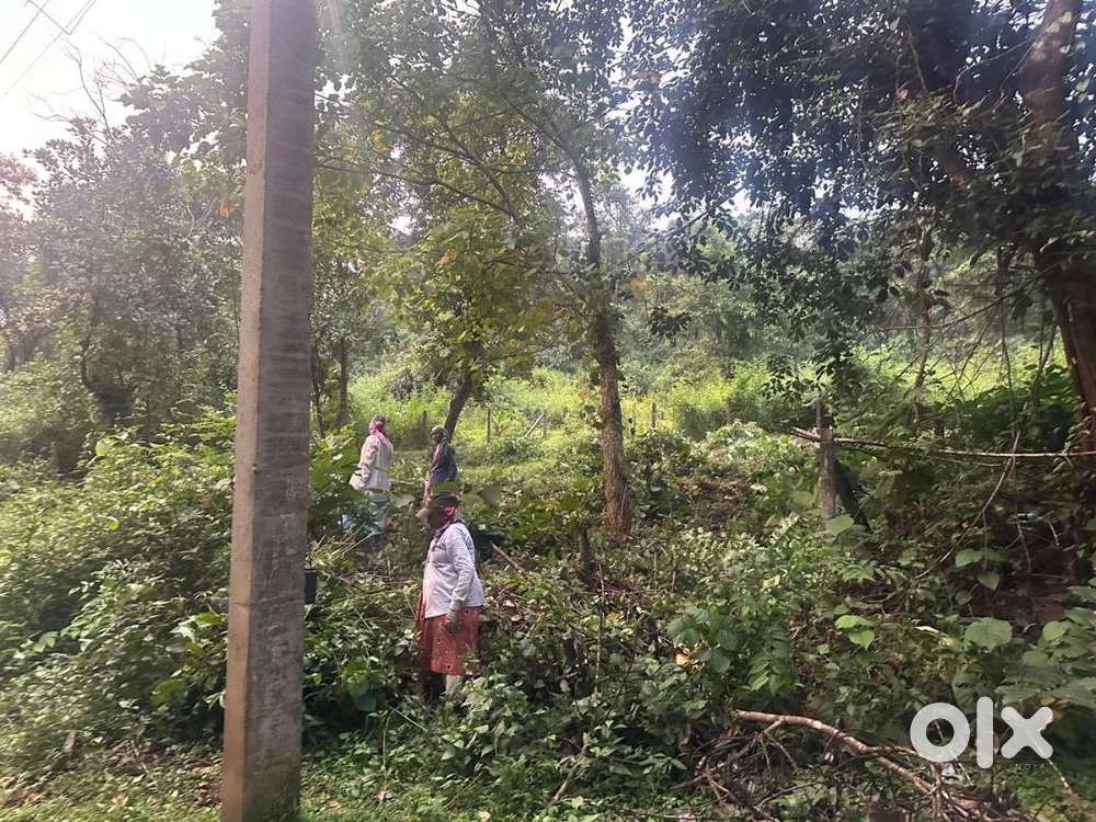 Residential Plot for Sale – Velguem, Sattari (Goa)