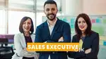 Wanted Sales Executive - JB Infra Real Estate