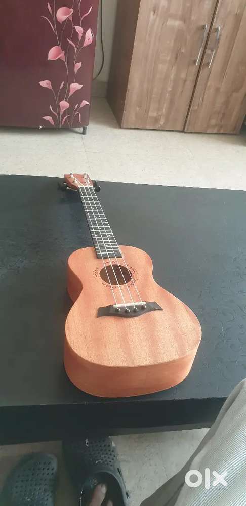 Ukelel new 15 days old