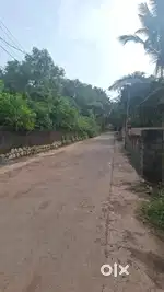 mangalapuram thonnakkal 5 cent for sale