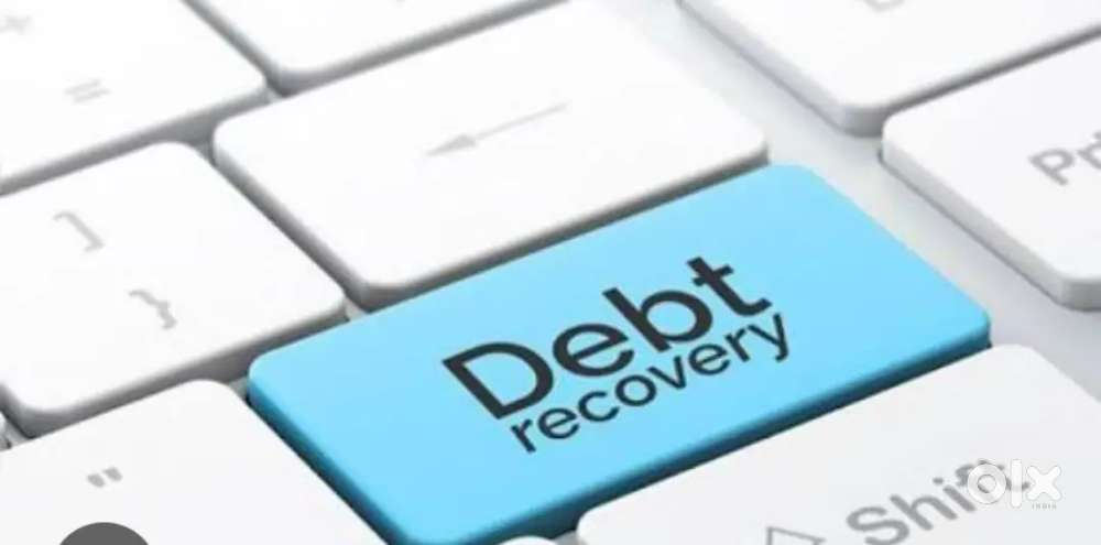 Debt Collection / Recovery officer