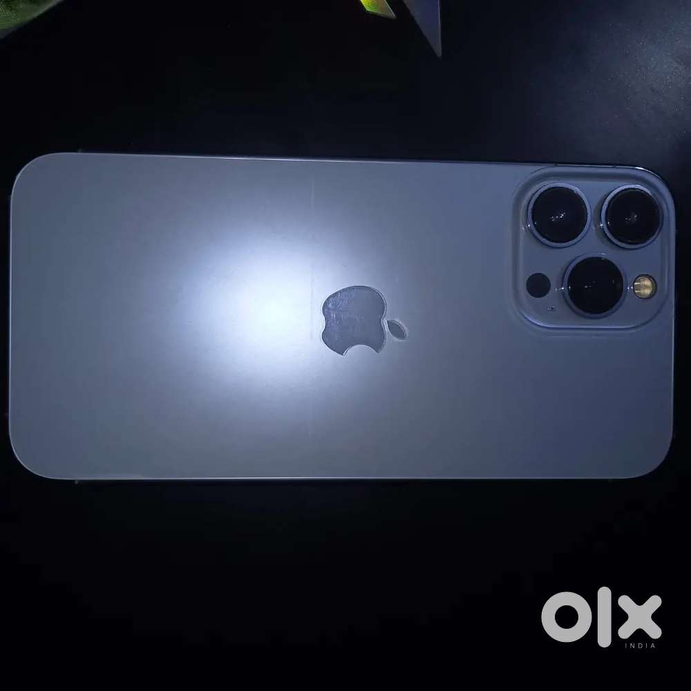 iPhone 13 pro max