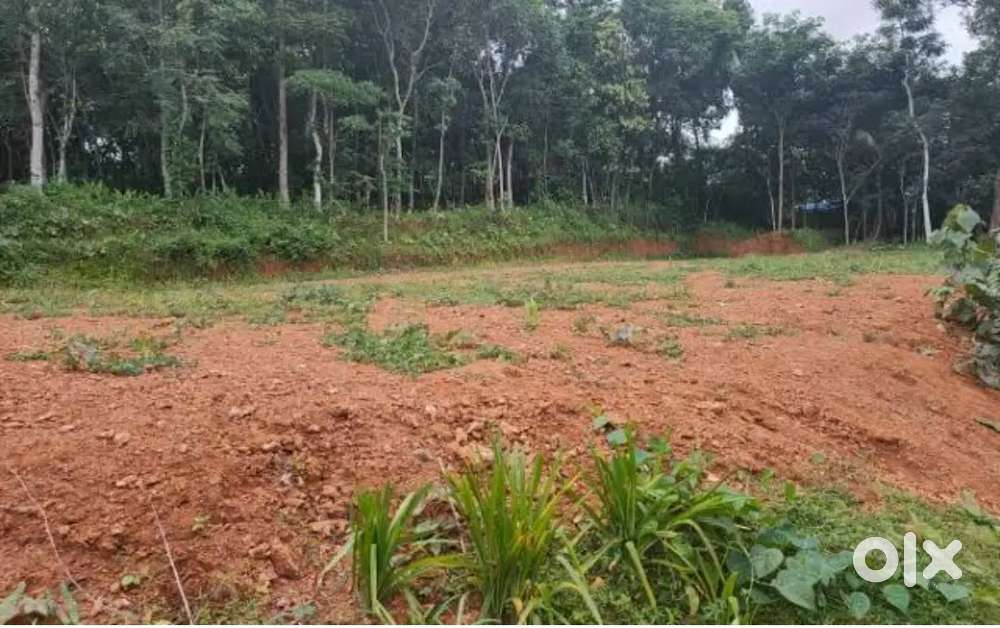 Plot for sale