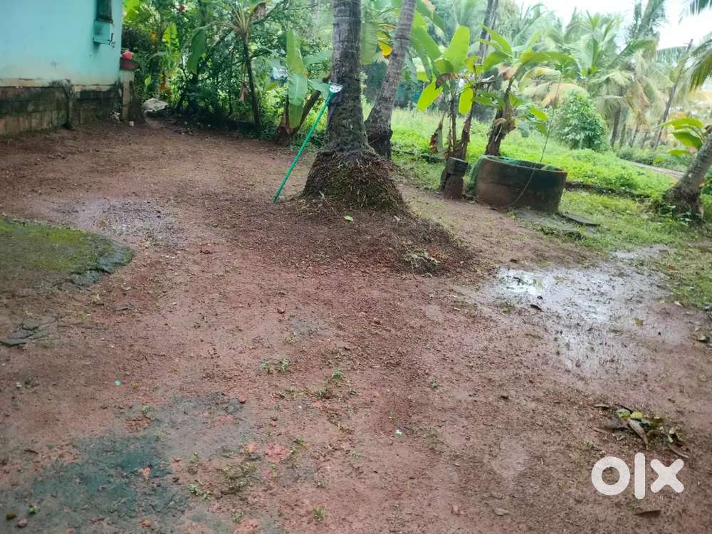 Super place near Vallikunnu