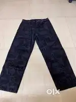 Zudio Pants Men