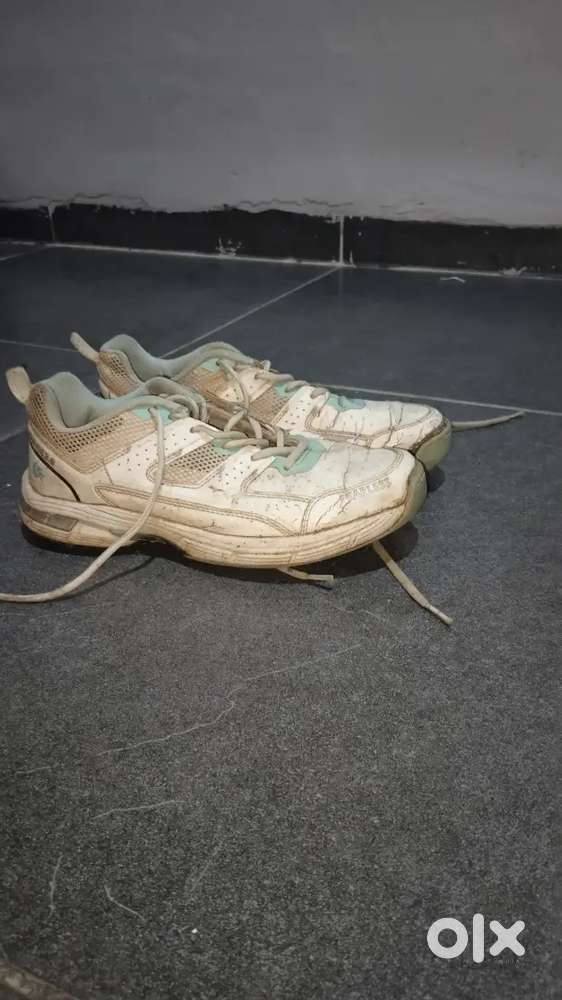 DSC Cricket shoes (UK 06 )