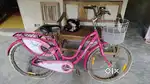 Ladybird BSA Cycle
