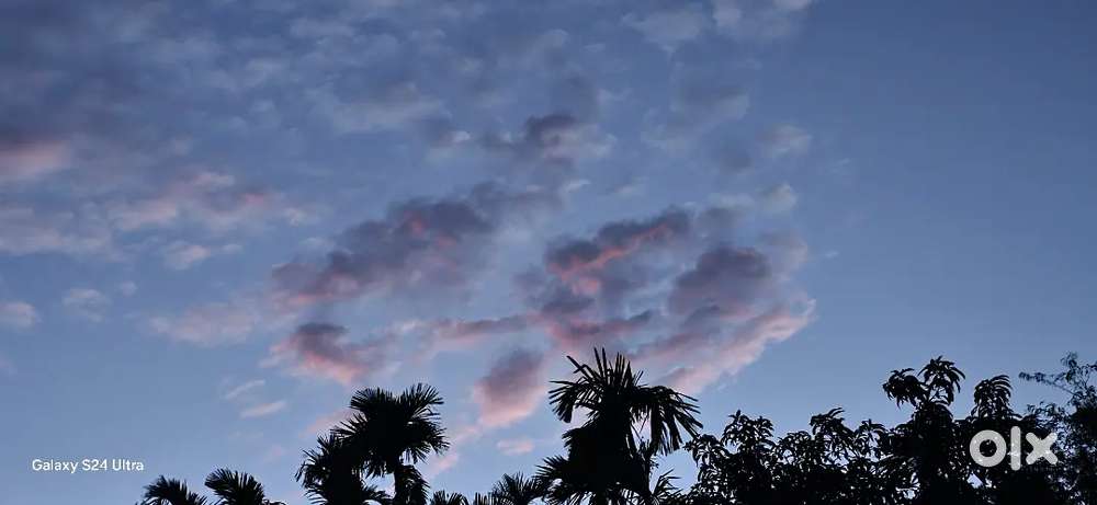 Any buy this room emergency response