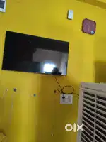 Samsung 43  TV