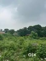 900 gaz plot in dayal bagh