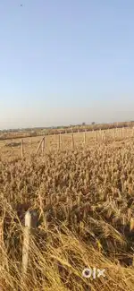 NA plot Prime plots investment