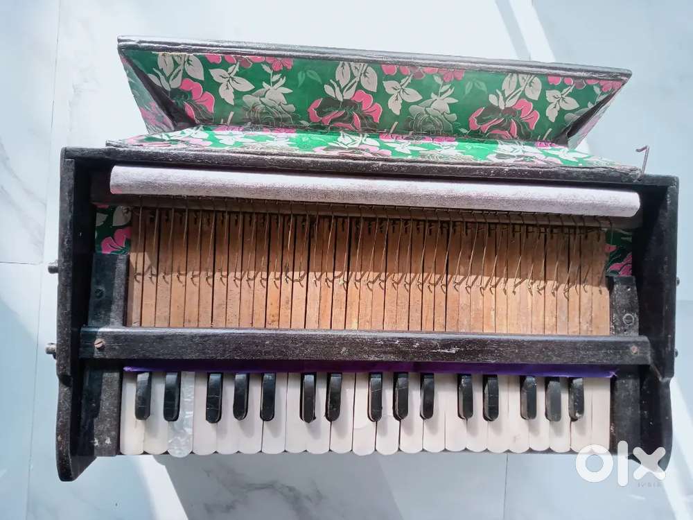Harmonium  (sa re ga ma karba)