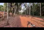 47 cent plot for sale kozhikode