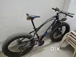 Fat tyre bicycle