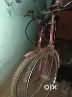 2 cycle girls