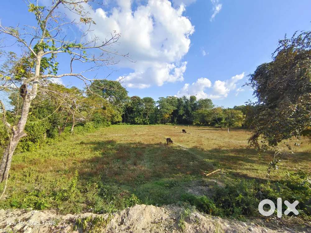 3 Kotha Myadi Land for Sale. 100% Genuine.