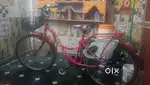 Ladies cycle