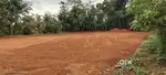 kuthukuzhy Ayyankave kothamangalam Bus route 2nd plot