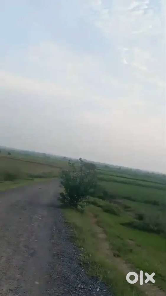 42 bhiga khet Moosanagar ghatampur Kanpur Nagar