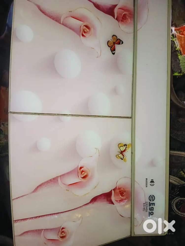 Ego 8.5kg washing machine