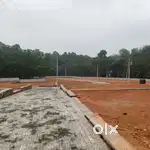 THAMARACHAL KIZHAKKAMBALAM PLOTS INFOPARK KAKKANAD 9.5 KM ONLY