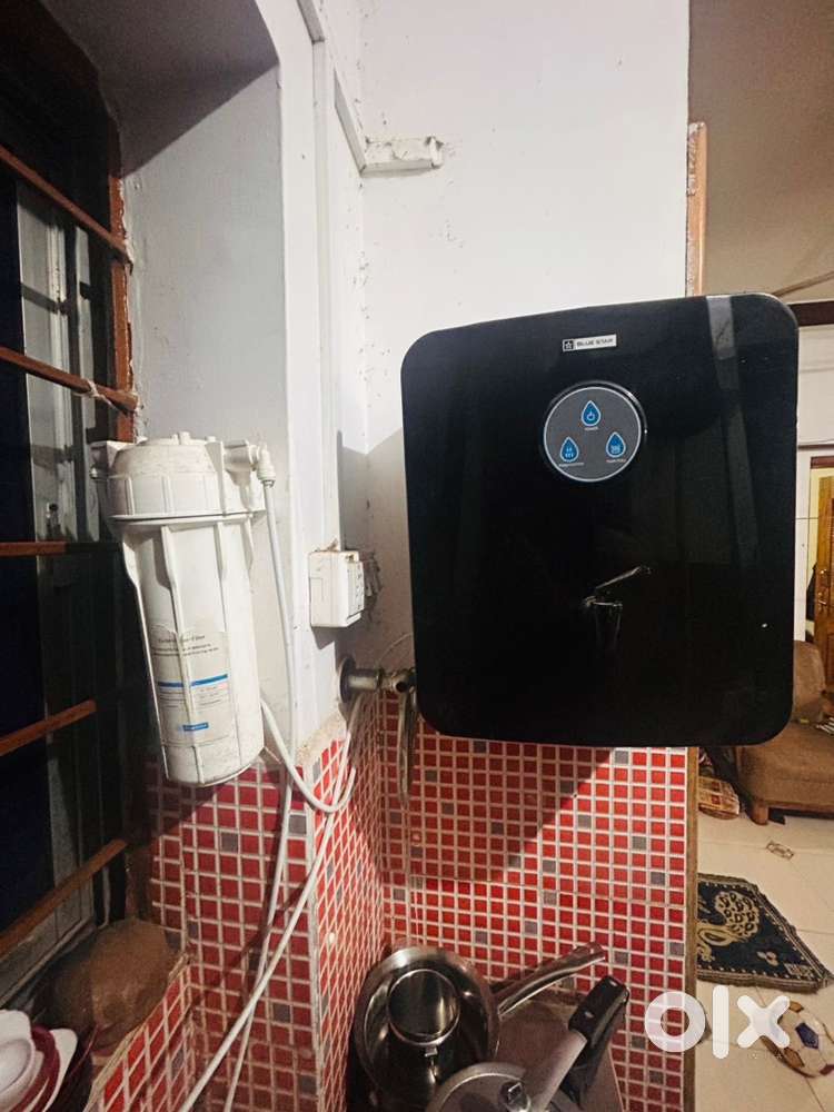 Aqua gird Watter puri fly