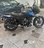 Pulsar 150 Decemebr 2023